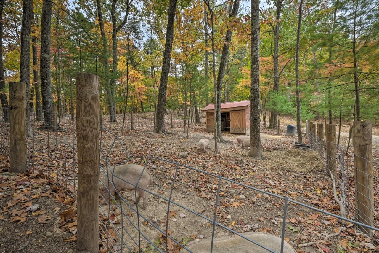 Cheyenne Ranch Apt With 50 Acres By Raystown Lake Huntingdon Exterior foto